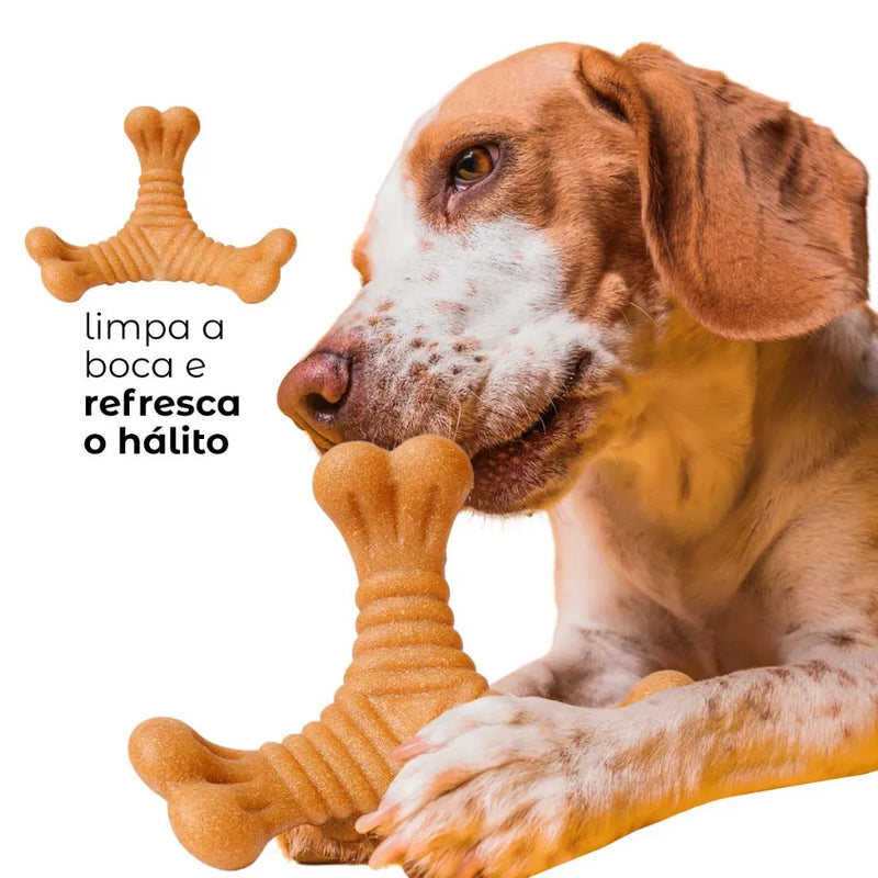 Osso Mordedor Massageador Anti-Stress para Cães – Brinquedo Divertido e Relaxante para seu Pet